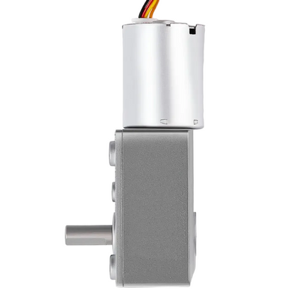 Brushless Worm Gear Motor – 24V 30RPM High Torque Drive