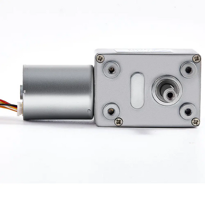 Brushless Worm Gear Motor – 24V 30RPM High Torque Drive