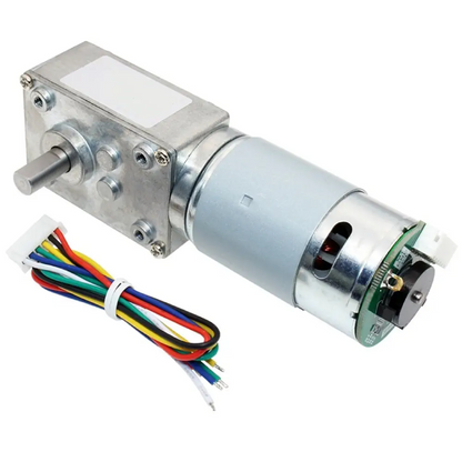 24V High Torque Self-Locking Worm Gear Motor with Encoder – 145RPM