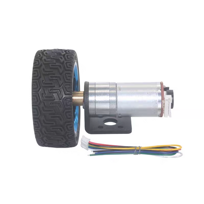 25GA370 DC Gear Motor with Encoder – 6V / 12V, Multiple Speed Options – High Torque Motor for Robotics