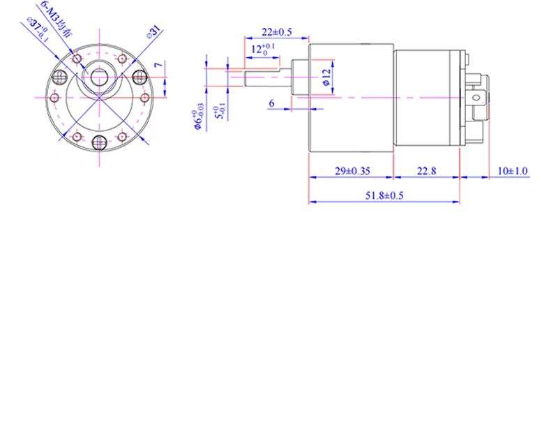 37mm DC Gear Motor with Encoder – 12V / 24V High Torque Motor, 7.4–1000 RPM Options