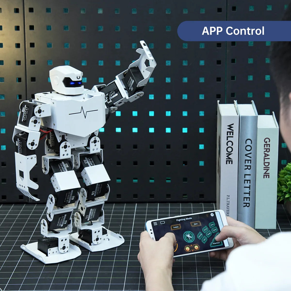 Hiwonder H5S 16DOF Intelligent Humanoid Dancing Robot for STEM Education and Group Control