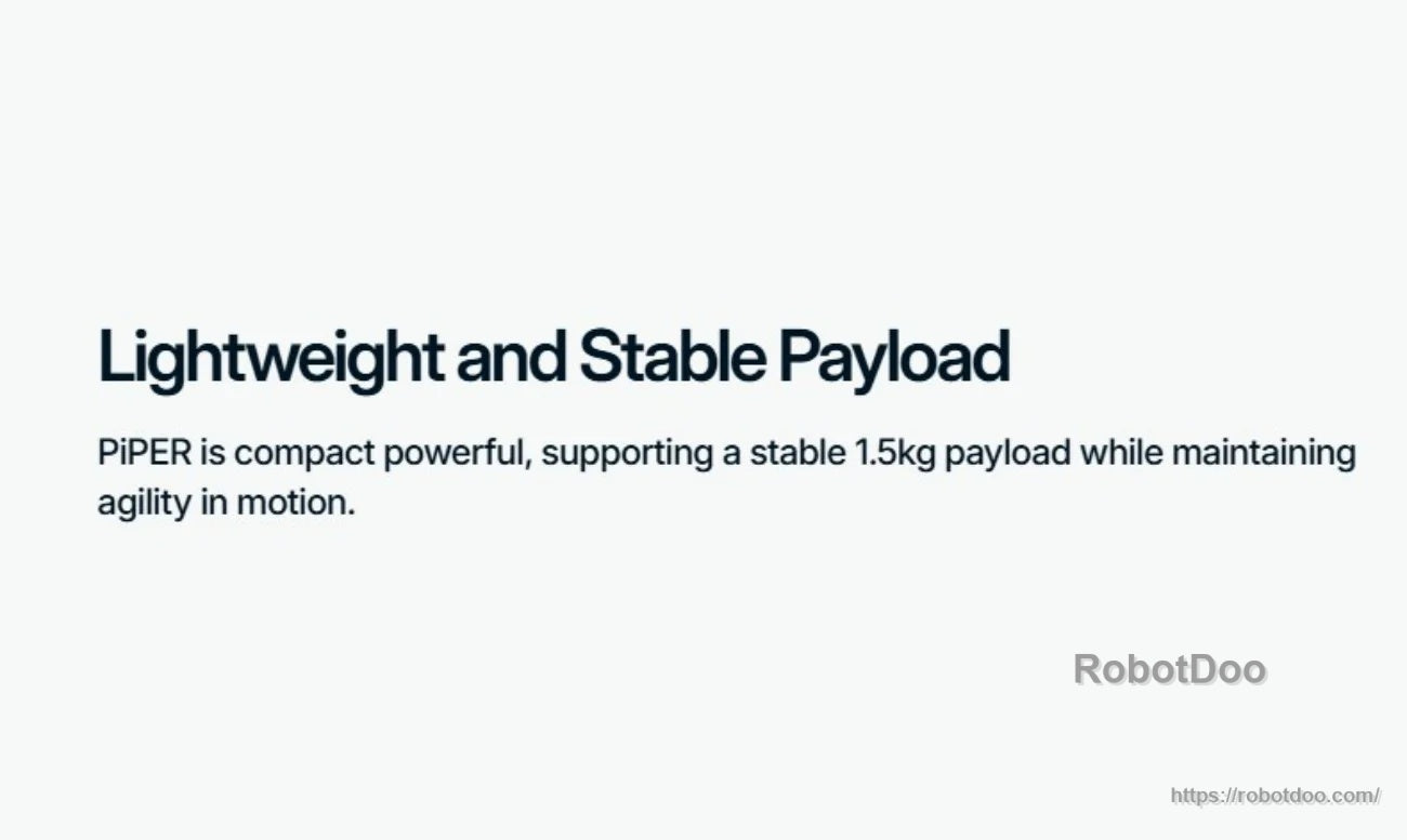 Text slide: Lightweight and stable payload, supports a stable 1.5 kg payload while maintaining agility