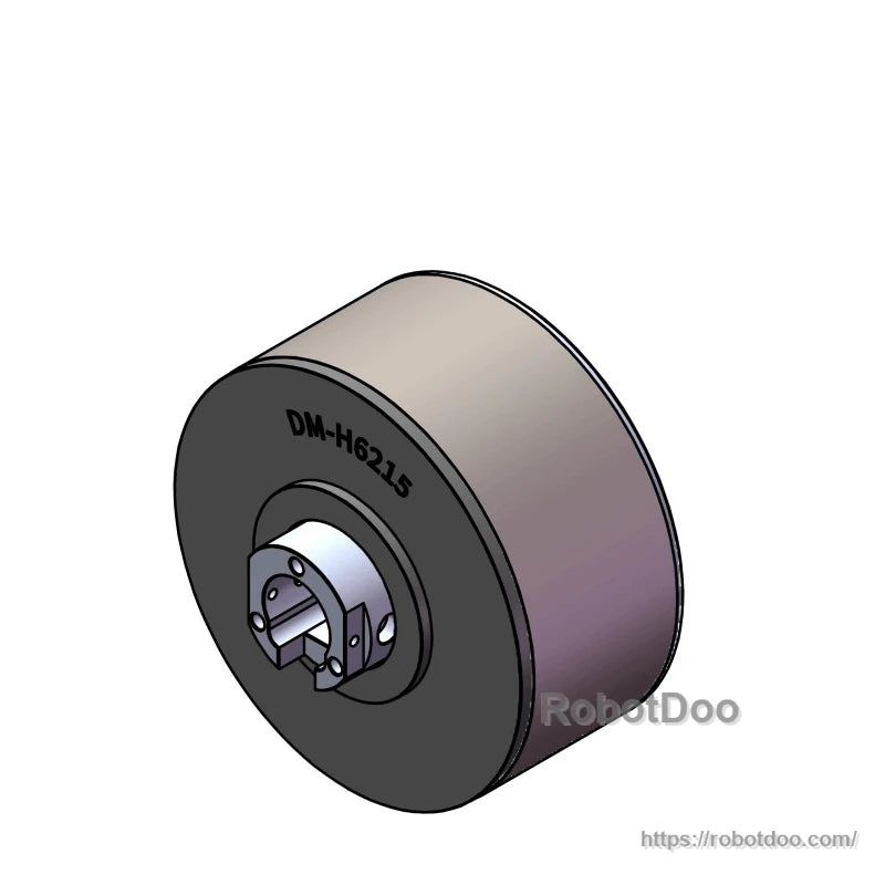 CAD render showing DM-H6215 motor shaft hub detail and mounting plate