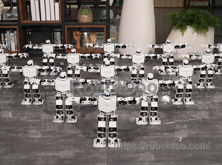 Hiwonder H5S 16DOF humanoid robots arranged for a synchronized group performance