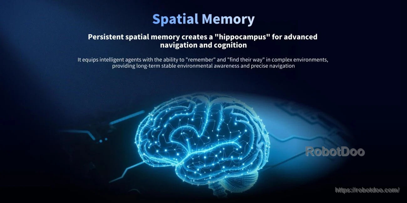 Spatial memory brain graphic describing persistent memory for navigation and cognition