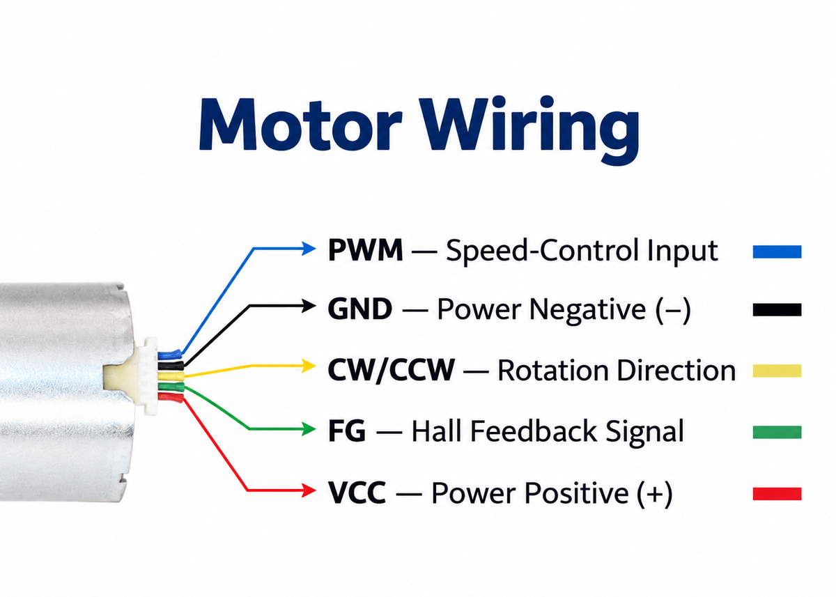 GM25 BLDC Gear Motor 12V 24V with PWM Speed Control & Hall Feedback
